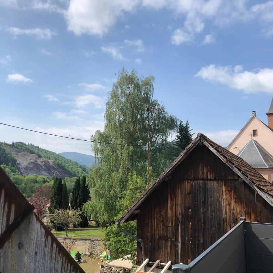 Appartement Vintage A L Ancienne Forge Muhlbach-sur-Munster Екстериор снимка